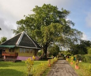 Mount Harriet Andaman